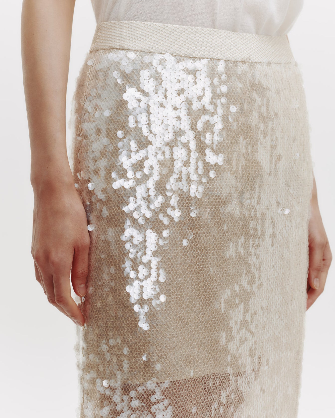 TWP Beige/clear Sylkie Skirt in Mesh with Sequins view 3